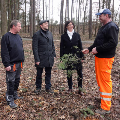 Bild vergrern: Das Bild zeigt von rechts Stefan Haslinger mit 1. Brgermeisterin Dr. Susanne Plank, Johannes Ortner und Peter Humbs vor Ort im Stadtpark
