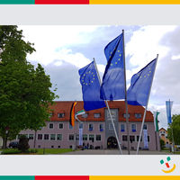 Bild vergrern: Am Maxhtter Rathaus wehen die Europafahnen.