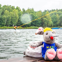 Bild vergrößern: Ferienspaß 2021: Wasserski am Steinberger See