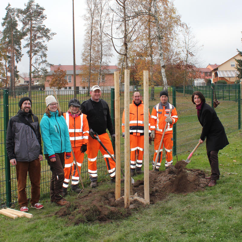 Bürgermeisterin pflanzt Baum: Das Bild zeigt 1. Bürgermeisterin Dr. Susanne Plank (rechts) mit den Organisatoren und dem Bauhof-Garten-Team beim pflanzen »ihres« Baumes. Sie hat eine Patenschaft über eine Vogel-Kirsche übernommen. 